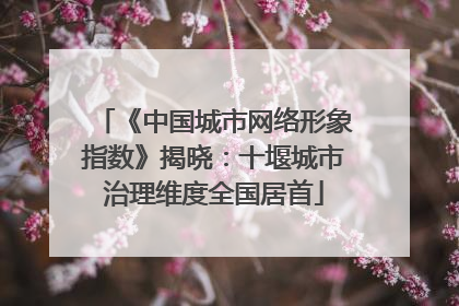 《中国城市网络形象指数》揭晓：十堰城市治理维度全国居首