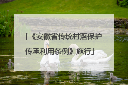 《安徽省传统村落保护传承利用条例》施行