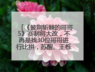 《披荆斩棘的哥哥5》赛制将大改，不再是找30位哥哥进行比拼，苏醒、王栎鑫、王铮亮、张远等多名男团选手被曝将参加