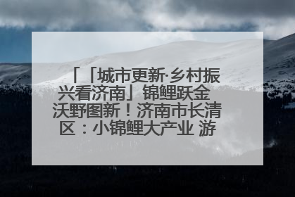 「城市更新·乡村振兴看济南」锦鲤跃金 沃野图新！济南市长清区：小锦鲤大产业 游出农旅新风景