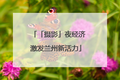「摄影」夜经济激发兰州新活力