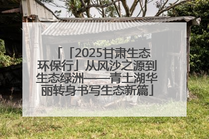 「2025甘肃生态环保行」从风沙之源到生态绿洲——青土湖华丽转身书写生态新篇