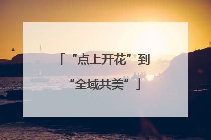 “点上开花”到“全域共美”