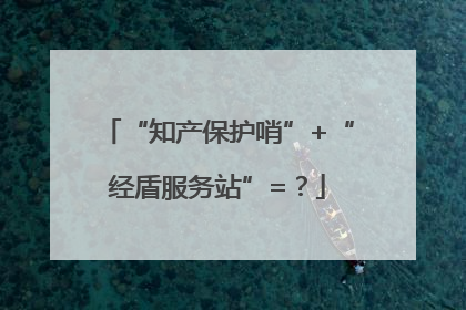 “知产保护哨”+“经盾服务站”=？