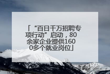 “百日千万招聘专项行动”启动，80余家企业提供1600多个就业岗位
