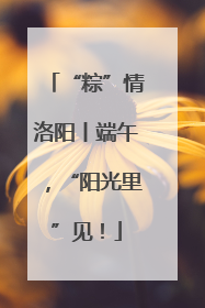 “粽”情洛阳丨端午，“阳光里”见！
