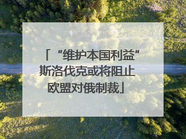 “维护本国利益” 斯洛伐克或将阻止欧盟对俄制裁