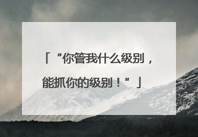 “你管我什么级别，能抓你的级别！”