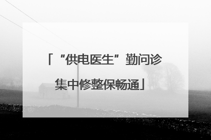 “供电医生”勤问诊 集中修整保畅通