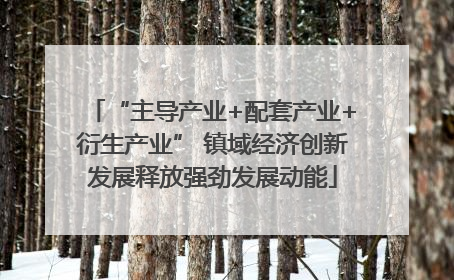 “主导产业+配套产业+衍生产业” 镇域经济创新发展释放强劲发展动能
