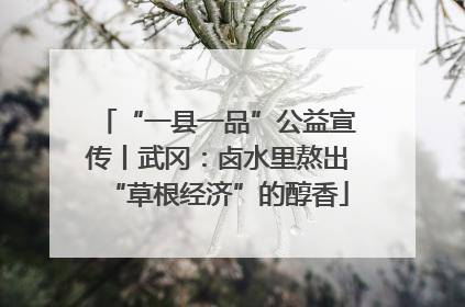 “一县一品”公益宣传丨武冈：卤水里熬出“草根经济”的醇香