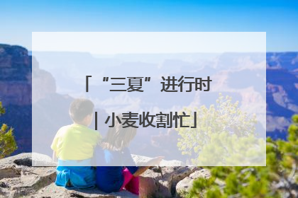 “三夏”进行时｜小麦收割忙