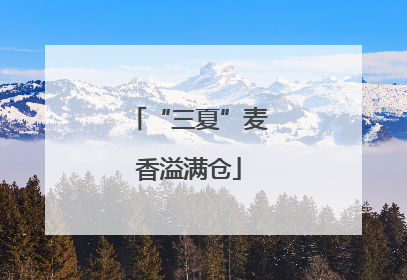 “三夏”麦香溢满仓