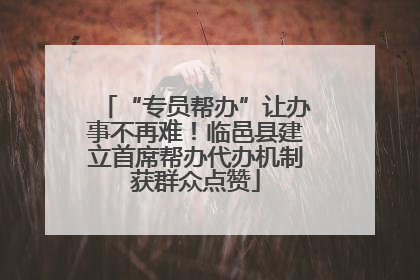 “专员帮办”让办事不再难！临邑县建立首席帮办代办机制获群众点赞
