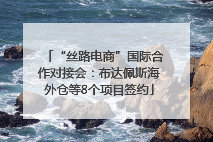 “丝路电商”国际合作对接会：布达佩斯海外仓等8个项目签约