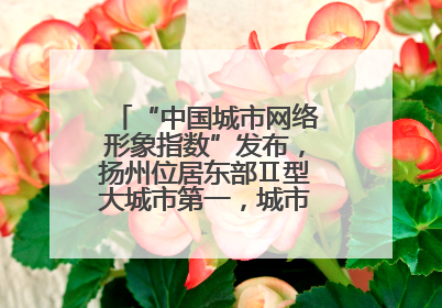 “中国城市网络形象指数”发布，扬州位居东部Ⅱ型大城市第一，城市生活形象亮眼