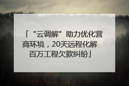 “云调解”助力优化营商环境，20天远程化解百万工程欠款纠纷