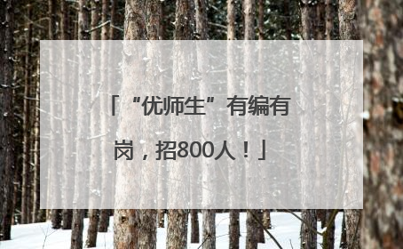 “优师生”有编有岗，招800人！