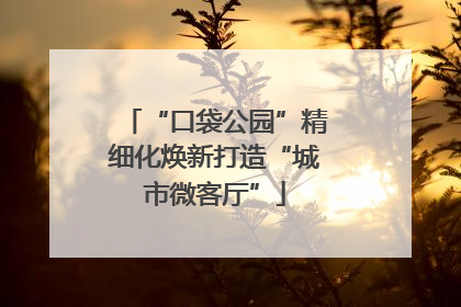 “口袋公园”精细化焕新打造“城市微客厅”