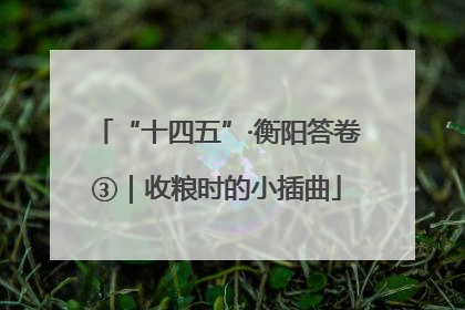 “十四五”·衡阳答卷③｜收粮时的小插曲