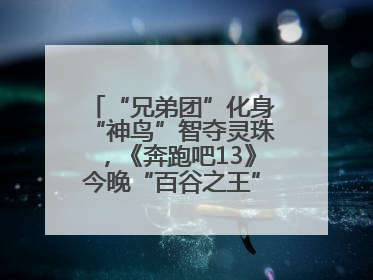 “兄弟团”化身“神鸟”智夺灵珠，《奔跑吧13》今晚“百谷之王”花落谁家？