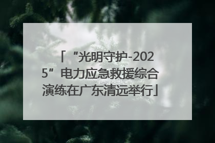 “光明守护-2025”电力应急救援综合演练在广东清远举行