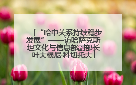 “哈中关系持续稳步发展”——访哈萨克斯坦文化与信息部副部长叶夫根尼·科切托夫