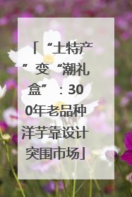 “土特产”变“潮礼盒”：300年老品种洋芋靠设计突围市场