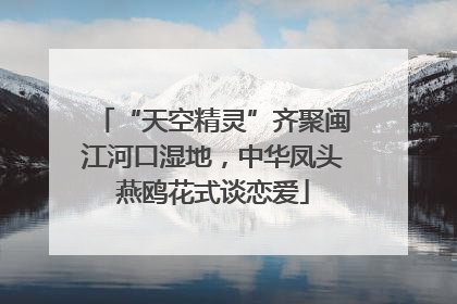“天空精灵”齐聚闽江河口湿地，中华凤头燕鸥花式谈恋爱