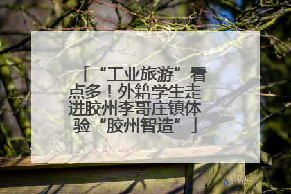 “工业旅游”看点多！外籍学生走进胶州李哥庄镇体验“胶州智造”