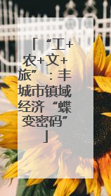“工+农+文+旅”：丰城市镇域经济“蝶变密码”
