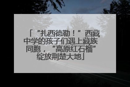 “扎西德勒！”西藏中学的孩子们遇上藏族同胞，“高原红石榴”绽放荆楚大地