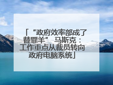 “政府效率部成了替罪羊” 马斯克：工作重点从裁员转向政府电脑系统