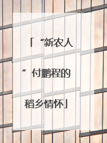 “新农人”付鹏程的稻乡情怀