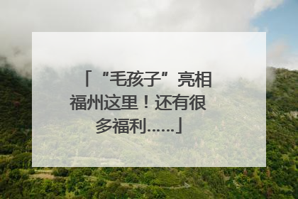 “毛孩子”亮相福州这里！还有很多福利……