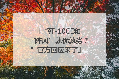 “歼-10CE和‘阵风’孰优孰劣？”官方回应来了