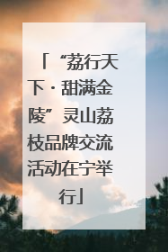 “荔行天下・甜满金陵”灵山荔枝品牌交流活动在宁举行