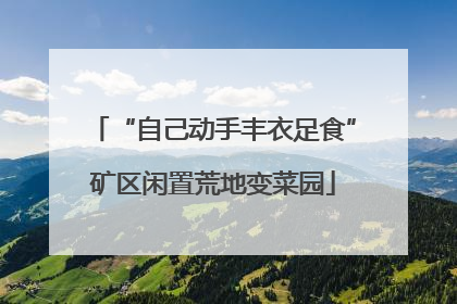 “自己动手丰衣足食”矿区闲置荒地变菜园