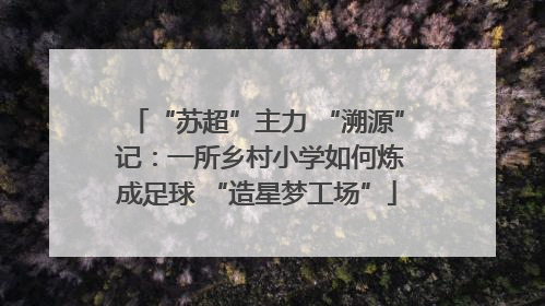 “苏超”主力 “溯源” 记：一所乡村小学如何炼成足球 “造星梦工场”
