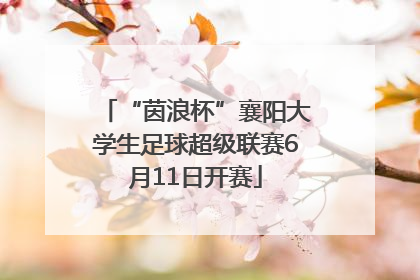 “茵浪杯”襄阳大学生足球超级联赛6月11日开赛