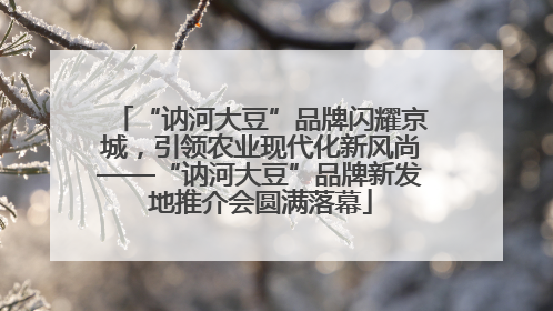 “讷河大豆”品牌闪耀京城，引领农业现代化新风尚——“讷河大豆”品牌新发地推介会圆满落幕