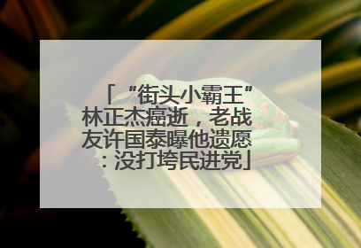 “街头小霸王”林正杰癌逝，老战友许国泰曝他遗愿：没打垮民进党