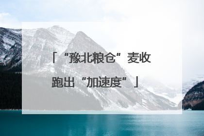 “豫北粮仓”麦收跑出“加速度”
