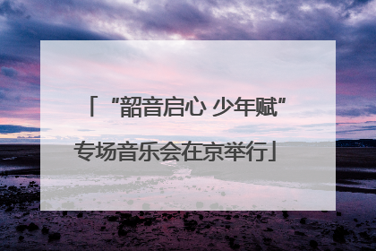 “韶音启心 少年赋”专场音乐会在京举行