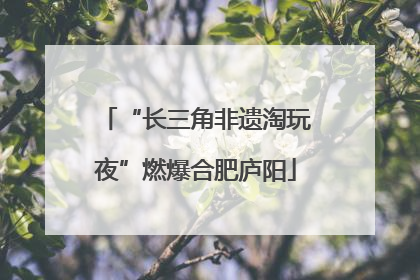 “长三角非遗淘玩夜”燃爆合肥庐阳