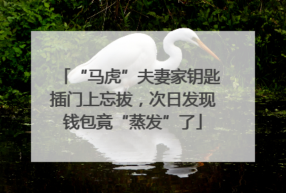 “马虎”夫妻家钥匙插门上忘拔，次日发现钱包竟“蒸发”了