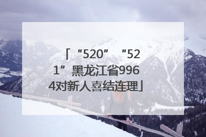“520”“521”黑龙江省9964对新人喜结连理