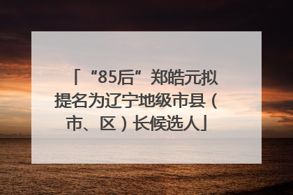 “85后”郑皓元拟提名为辽宁地级市县（市、区）长候选人