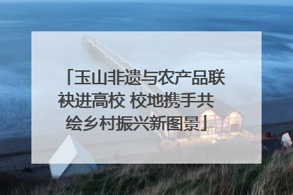 玉山非遗与农产品联袂进高校 校地携手共绘乡村振兴新图景