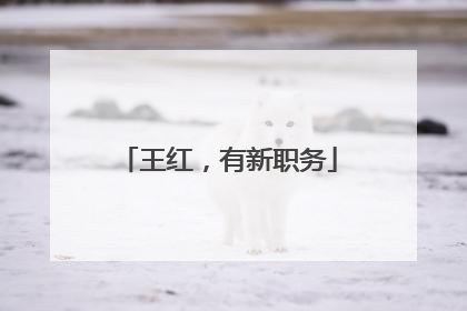 王红，有新职务